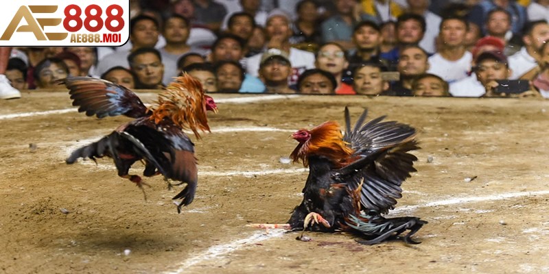 Người chơi cần chuẩn bị tâm trạng cho những trận đấu căng thẳng