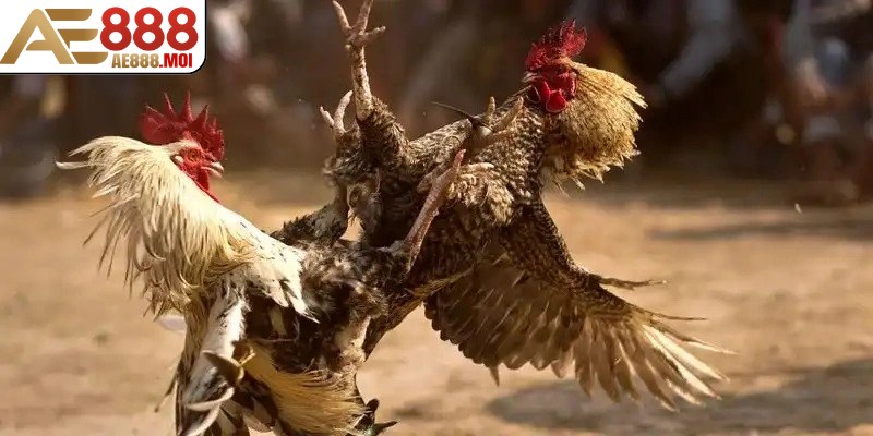 Bạn cần khôn ngoan trong việc lựa chọn