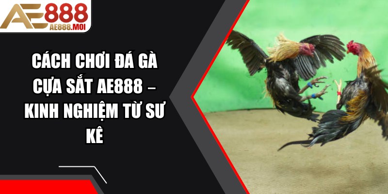 Cách Chơi Đá Gà Cựa Sắt AE888