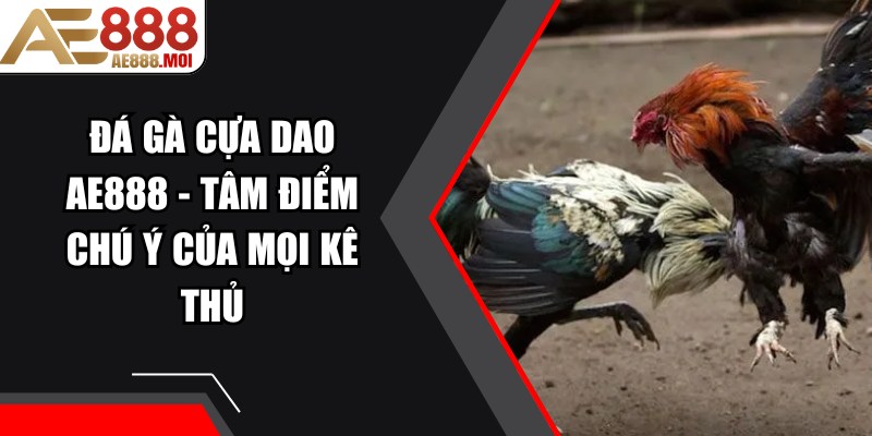 Đá Gà Cựa Dao AE888