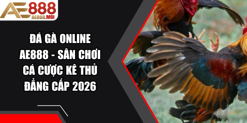 Đá Gà Online AE888