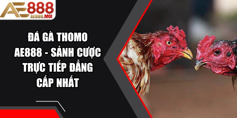 Đá Gà Thomo AE888