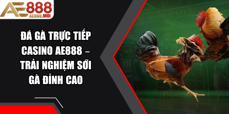 Đá Gà Trực Tiếp Casino AE888