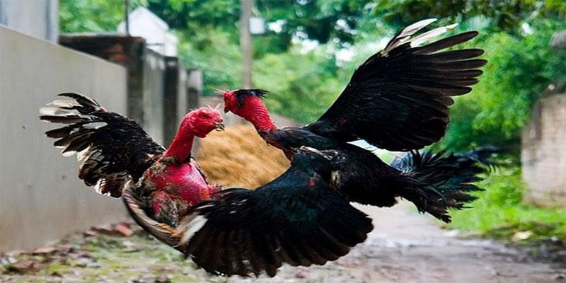 Nhà cái hỗ trợ mức cược cực kỳ linh hoạt, phù hợp với túi tiền người chơi