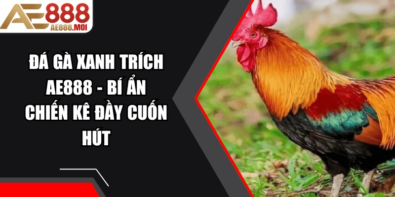 Đá Gà Xanh Trích AE888