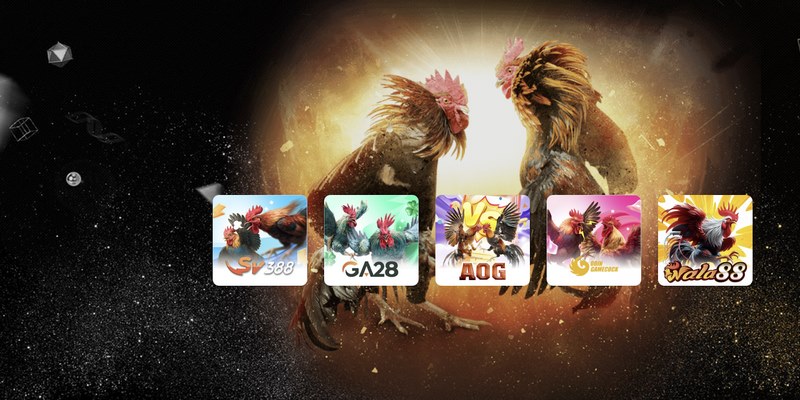 Tính minh bạch là ưu điểm lớn nhất của nhà cái đá gà AE888