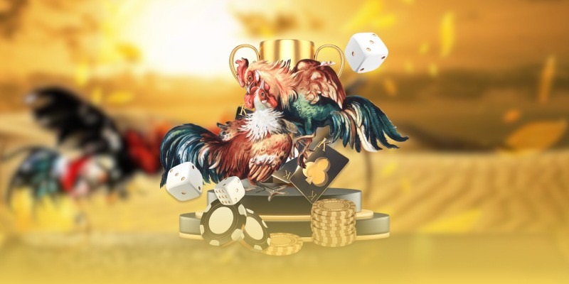 Trận đấu trên AE888 thường kết thúc nhanh hơn so với sới gà truyền thống