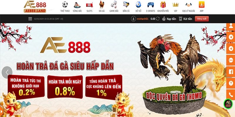 Ưu điểm và cách thức tham gia nhà cái đá gà AE888