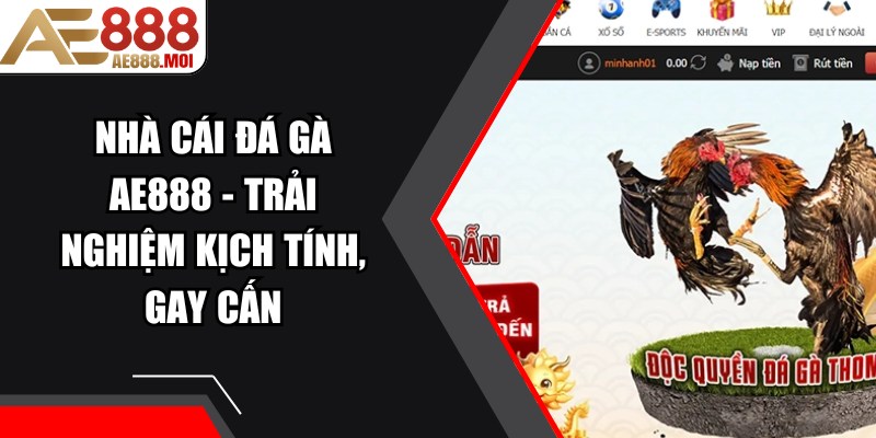 Nhà Cái Đá Gà AE888