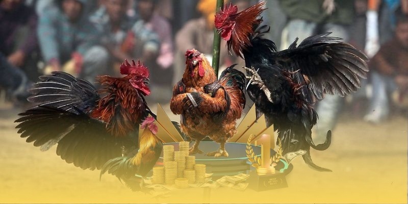 Để tối ưu hóa cơ hội thắng cược bạn cần biết các từ khóa soi kèo hay