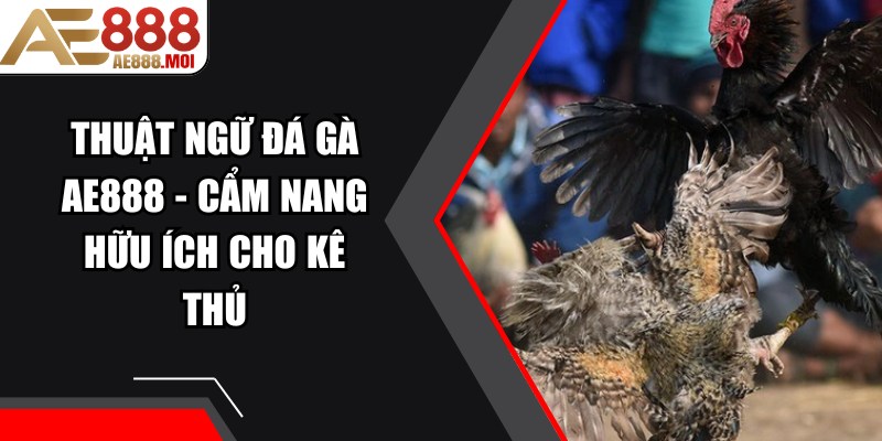 Thuật Ngữ Đá Gà AE888